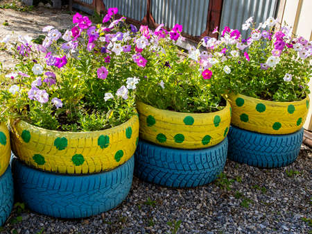 small flower bed in an old car tireの写真素材