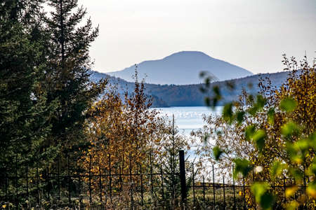 Golden autumn in the vicinity of lake Zyuratkul, colorful trees, Ural mountains, picturesque...