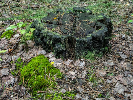 old ruined stump overgrown with moss lichen and grass in the autumn forest