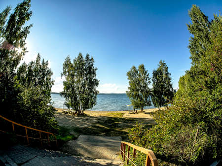 tall birches on the shore of the lake illuminated by the sun, lake Uvildy, southern Uralsの写真素材