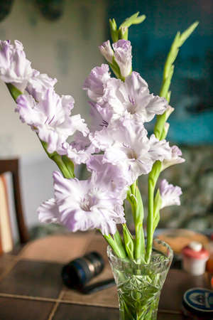 delicate romantic light purple gladiolus in a vase on the table, soft focusの写真素材
