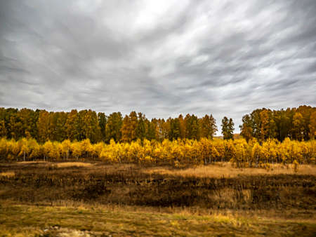 beautiful golden autumn in the southern Urals, unfocused landscape along the road in the early morning on a cloudy day, typical South Ural landscapes, resembles a watercolor drawingの写真素材