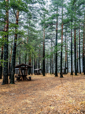 gazebos for tourists on the ecological trailの写真素材