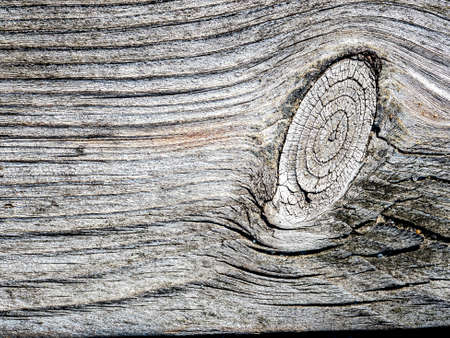 texture of the surface of the boards lying on the shore of the lake for a long time