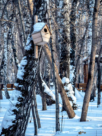 wooden birdhouse in winter in a snow-covered forestの写真素材