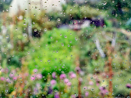 transparent raindrops on the window pane