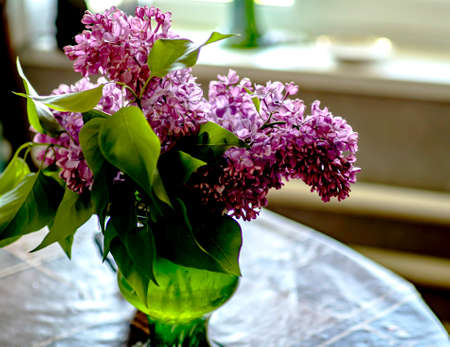 bright beautiful bouquet of lilacs in a vase on the table near the windowの写真素材