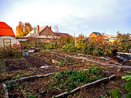view of the autumn garden in the early morning in the countrysideの写真素材