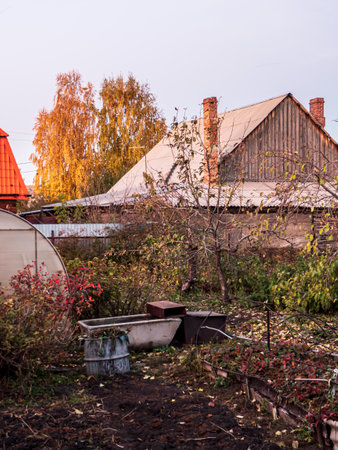 view of the autumn garden in the early morning in the countryside