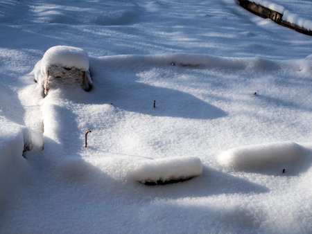 light blue shadows on the fresh morning snow in the countrysideの写真素材