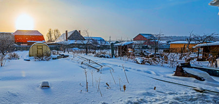 panoramic view of the winter rural landscape during a snowfall at sunset, the yellow sun shines through the hazeの写真素材
