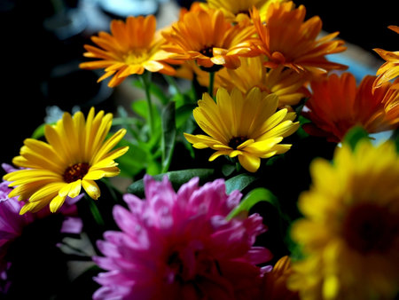 a bright, beautiful multicolored bouquet of calendula and asters in a crystal vaseの写真素材