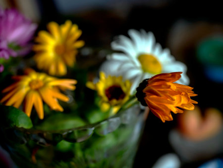a bright beautiful multicolored bouquet of calendula and astersの写真素材