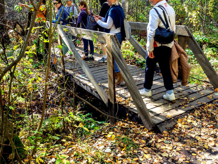 a simple wooden forest bridge in the autumn forest, a group of tourists crosses a small streamの写真素材
