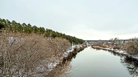 banks of the winter river covered with forestの写真素材