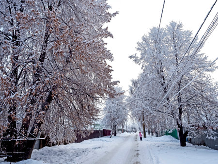 winter road among trees covered with frost and snow in the countrysideの写真素材