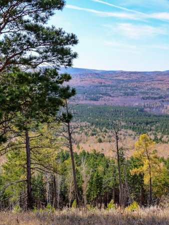 view of the autumn forest from the top of a low mountain, southern Urals, sunny dayの写真素材