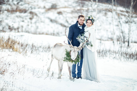 Winter wedding. The bride and groom stand with a deer on a snowy meadow.の写真素材