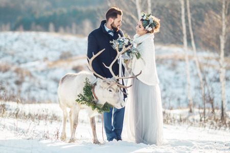 Beautiful bride and groom walk with the deer. Wedding ceremony in winter.の写真素材