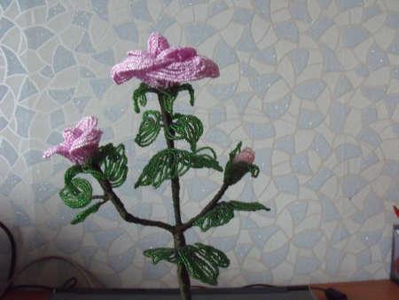 A small flower with a pattern in the shape of a tree.の写真素材