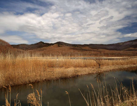 Near the lakeの写真素材