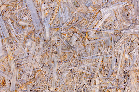 osb plate on the street, backgroundの写真素材