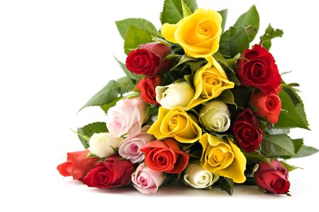 beautiful flowers isolated on white backgroundの写真素材