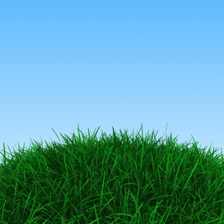 grass backgroundの写真素材