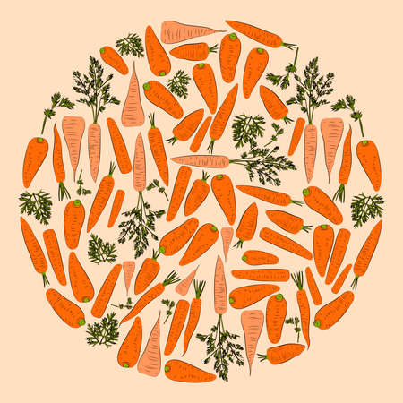 A set of color carrots in a circle. Vector graphics. Healthy food.のイラスト素材