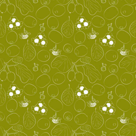 A set of seamless fruit patterns. Vector white contour illustration of kiwi on a colored background. 1000x1000, vector graphicsのイラスト素材