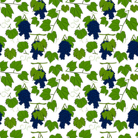 Fruits, berries doodle. Healthy food background. Autumn seamless pattern with grapes.のイラスト素材
