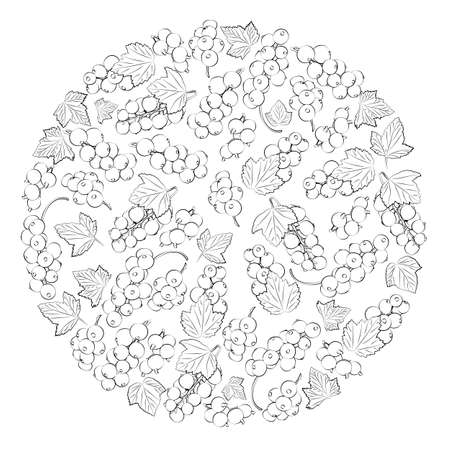 A set of black and white currents in a circle. vector graphics. Health food.のイラスト素材