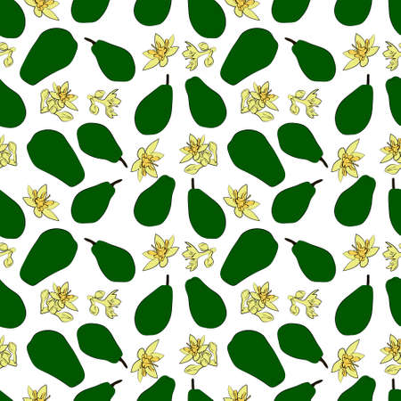 A set of seamless patterns of avocados, leaves, fruits and flowers, 1000x1000 pixels.のイラスト素材