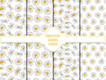 A set of seamless background with chamomile. Vector graphics, 1000x1000.のイラスト素材