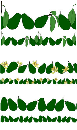 Set of avocado line. Seamless borders with avocado, leaves and flowers. vector graphics.のイラスト素材