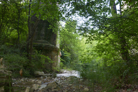 as the magic of nature fills our eyesの写真素材