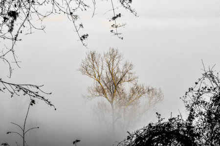 as the magic of nature fills our eyesの写真素材