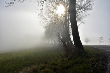 as the magic of nature fills our eyesの写真素材