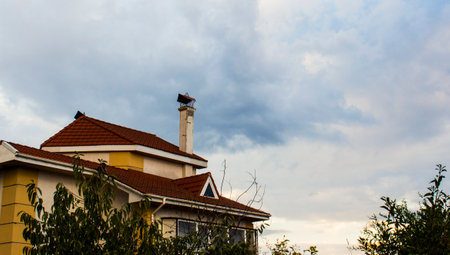 House with chimney and storks on the roof. Cloudy sky.の写真素材