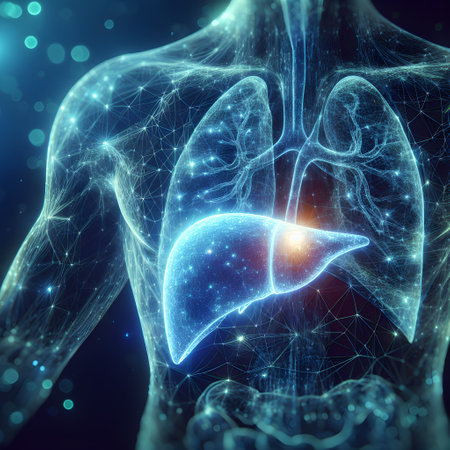 3d rendering of human lungs with light lines on dark blue backgroundの素材