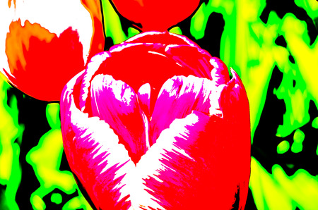 Colorful floral pattern illustrationの写真素材