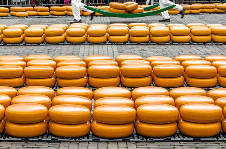 Traditional Dutch cheese market in Alkmaar, the Netherlandsの写真素材