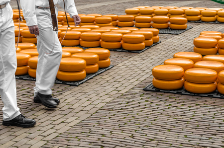 Traditional Dutch cheese market in Alkmaar, the Netherlandsの写真素材