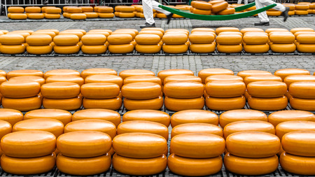 Traditional Dutch cheese market in Alkmaar, the Netherlandsの写真素材