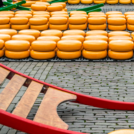 Traditional Dutch cheese market in Alkmaar, the Netherlandsの写真素材