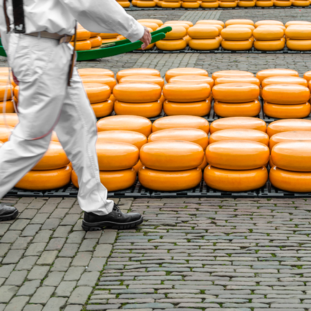 Traditional Dutch cheese market in Alkmaar, the Netherlandsの写真素材
