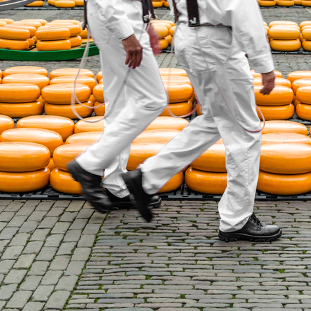 Traditional Dutch cheese market in Alkmaar, the Netherlandsの写真素材