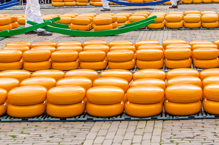 Traditional Dutch cheese market in Alkmaar, the Netherlandsの写真素材