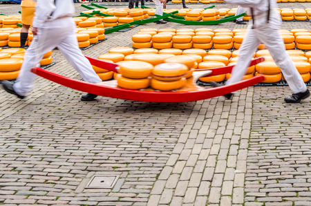 Traditional Dutch cheese market in Alkmaar, the Netherlandsの写真素材