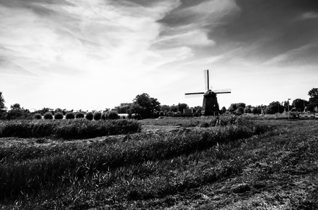 Black and white Dutch landscapeの写真素材